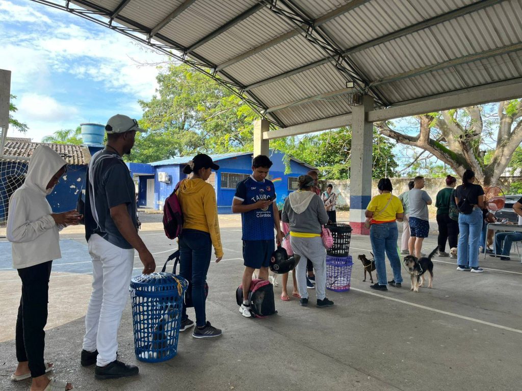 *ALCALDÍA DE MONTERÍA AVANZA EN UN 79% EN SU META ANUAL DE ESTERILIZACIONES ANIMALES*