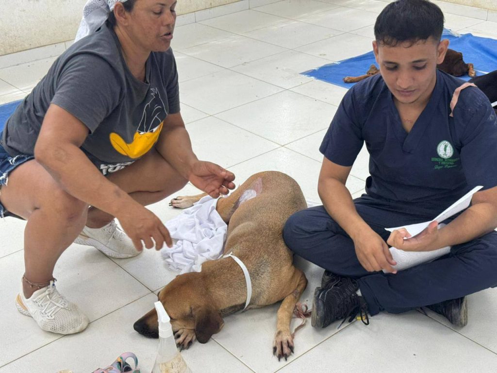 *EN MONTERÍA A LA FECHA SE SUPERAN LAS 5.300 ESTERILIZACIONES Y SE AVANZA A LA META DE LAS 6.000 PARA ESTE 2025*