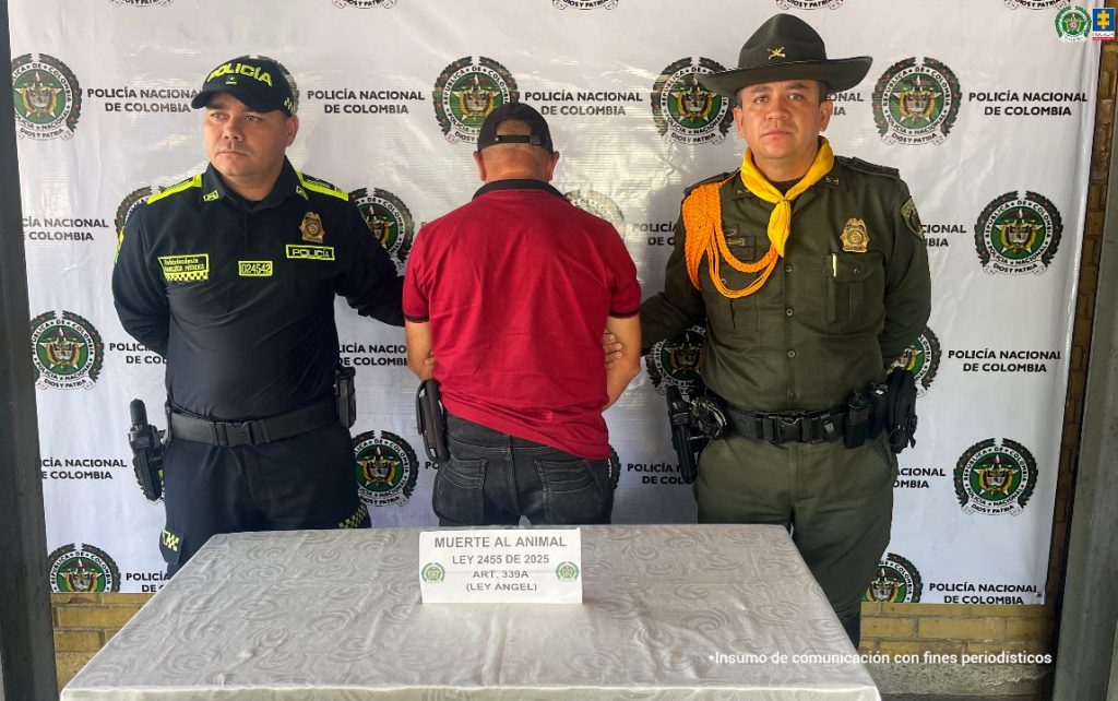 *JUDICIALIZADOS PRESUNTOS AGRESORES DE ANIMALES EN CÓRDOBA, QUINDÍO Y SANTANDER*