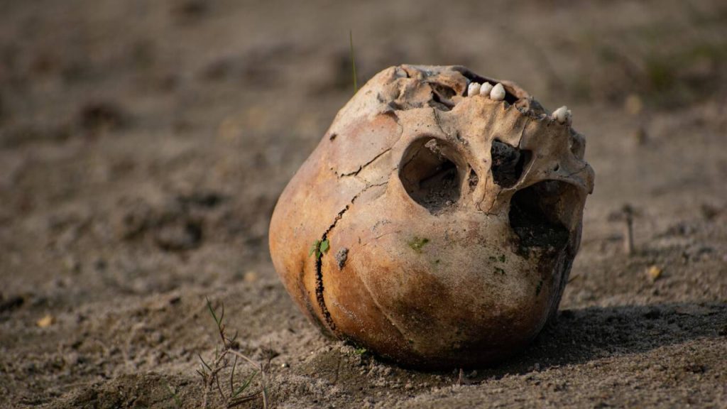 La humanidad estuvo cerca de la extinción hace 900.000 años.