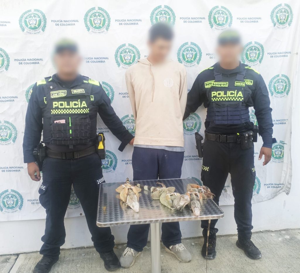 La Policía protege la fauna silvestre: captura por aprovechamiento ilícito de recursos naturales.