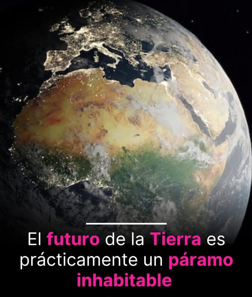 Es oficial: La Tierra podría superar los 70 °C y volverse inhabitable para los mamíferos.