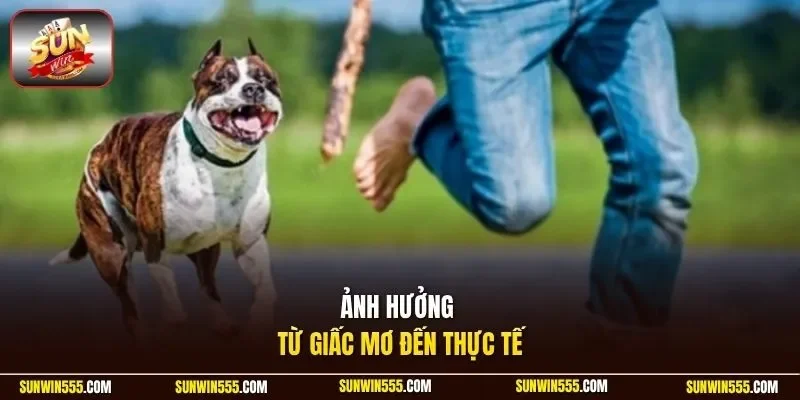 Ảnh hưởng từ giấc mơ đến thực tế